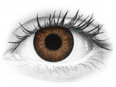 Brown contact lenses - natural effect - power - Air Optix (2 monthly coloured lenses)