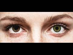 Green contact lenses - natural effect - Air Optix (2 monthly coloured lenses)