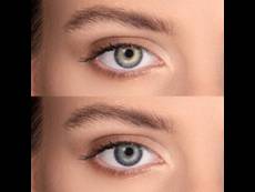 Grey Sterling contact lenses - natural effect - Air Optix (2 monthly coloured lenses)