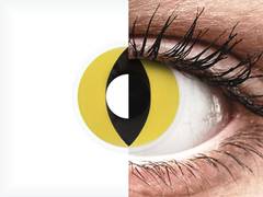 Yellow Cat Eye contact lenses - ColourVue Crazy (2 coloured lenses)