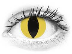 Yellow Cat Eye contact lenses - ColourVue Crazy (2 coloured lenses)