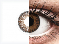 Brown contact lenses - power - TopVue Color (10 daily coloured lenses)