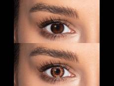 Brown contact lenses - TopVue Color (10 daily coloured lenses)
