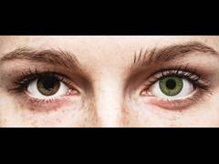 Green contact lenses - power - TopVue Color (10 daily coloured lenses)