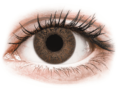 Brown contact lenses - power - TopVue Color (2 monthly coloured lenses)