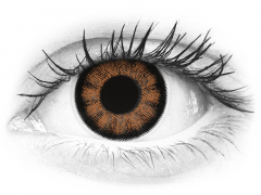 Sexy Brown contact lenses - ColourVue BigEyes (2 coloured lenses)