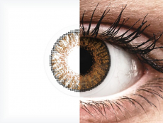 Brown Honey contact lenses - FreshLook ColorBlends - Power (2 monthly coloured lenses)