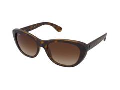 Ray-Ban RB4227 710/13 