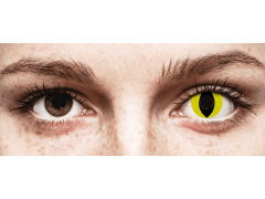 CRAZY LENS - Cat Eye Yellow - plano (2 daily coloured lenses)