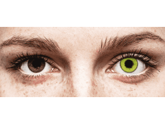 TopVue Daily Color - Fresh Green - plano (2 daily coloured lenses)