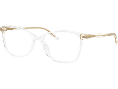 Dolce & Gabbana DG3424 3133 