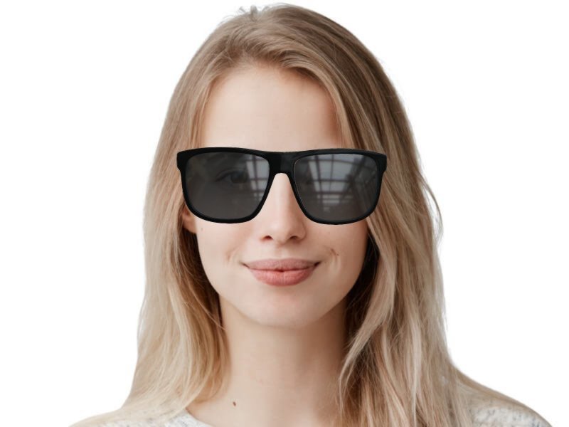 Gucci mens sunglasses gg0010s sale
